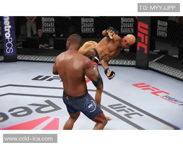 丹尼科米尔与蜘蛛的巅峰对决谁将成为胜者揭晓战斗真相