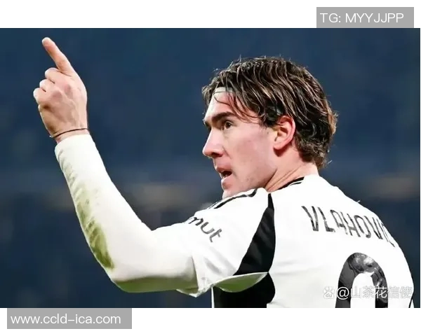 弗拉霍维奇：从天才少年到欧洲足坛新星的成长之路