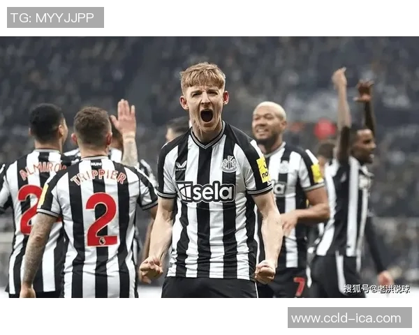 纽卡斯尔联迎战西布朗维奇争夺英超积分榜关键三分 纽卡斯尔联迎战西布朗维奇争夺英超积分榜关键三分