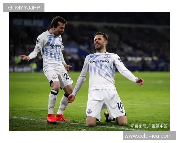 卡迪夫城主场迎战埃弗顿双方争夺英超宝贵积分之战 卡迪夫城主场迎战埃弗顿双方争夺英超宝贵积分之战