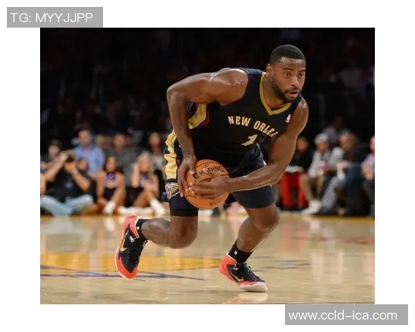 泰瑞克埃文斯的篮球传奇之路与职业生涯的辉煌成就探讨 泰瑞克埃文斯的篮球传奇之路与职业生涯的辉煌成就探讨