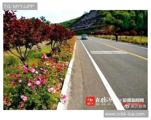 马路乡足球比赛精彩直播回放全记录助力乡村足球发展 马路乡足球比赛精彩直播回放全记录助力乡村足球发展